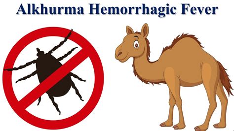 alkhurma hemorrhagic disease